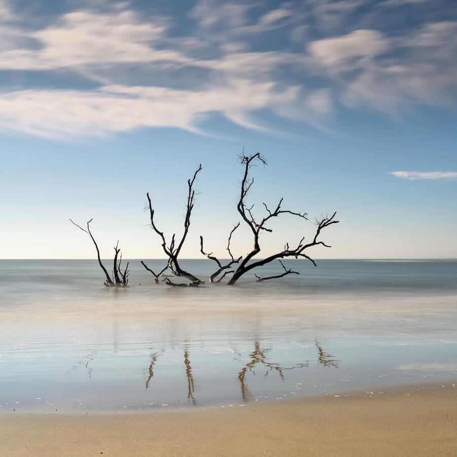 Driftwood on serene beach under cloudy sky.