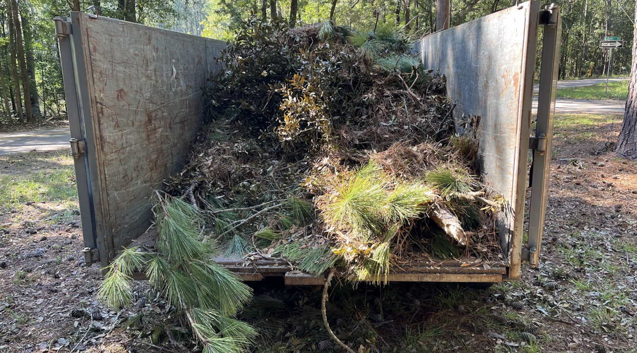 Trailer loaded with garden debris in forest