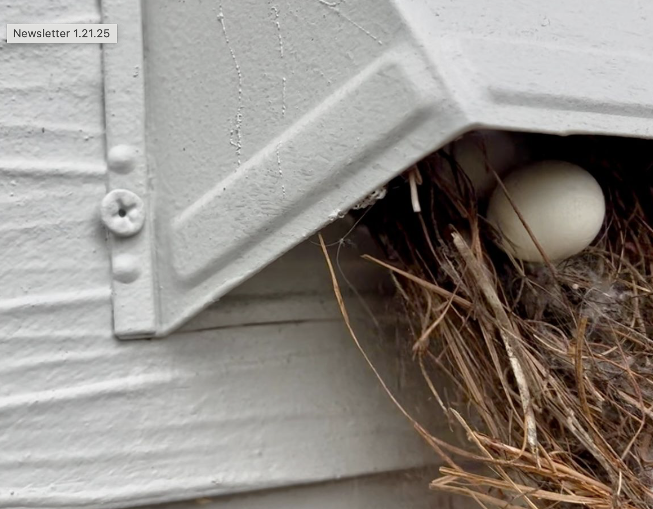 Bird nest with egg under roof eave.